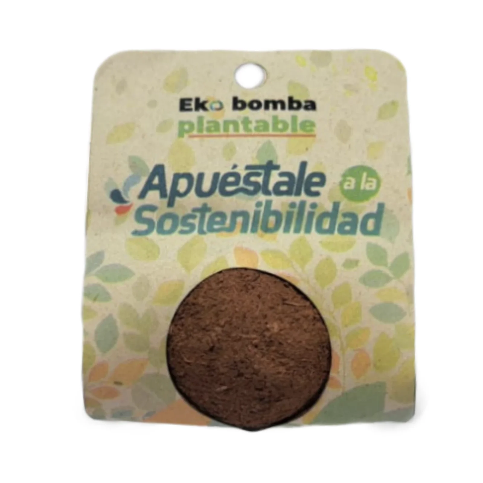 Bomba de semillas en empaque de cartón Eko bomba plantable, Apuéstale a la sostenibilidad